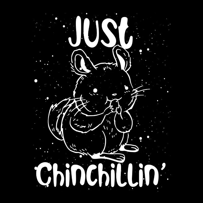 Chinchilla Einfach Chillen