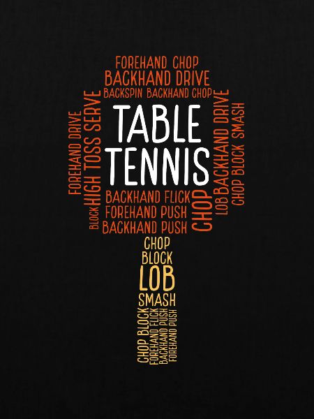 Tischtennisschläger