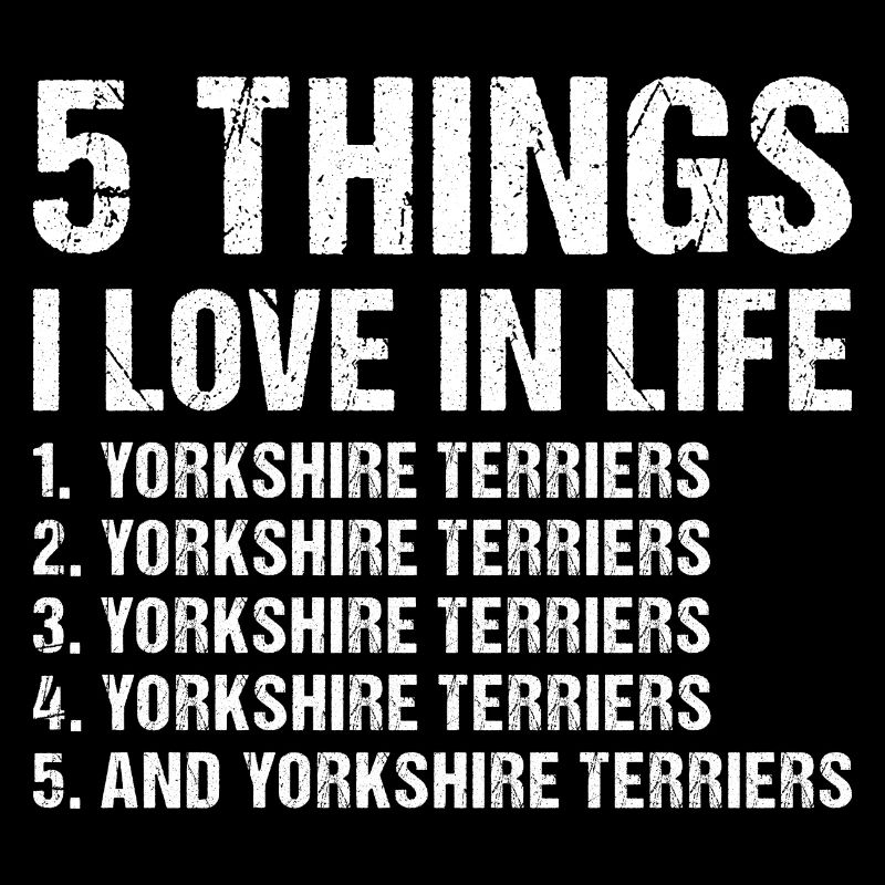 5 choses que j’aime dans la vie Yorkshire Terrier