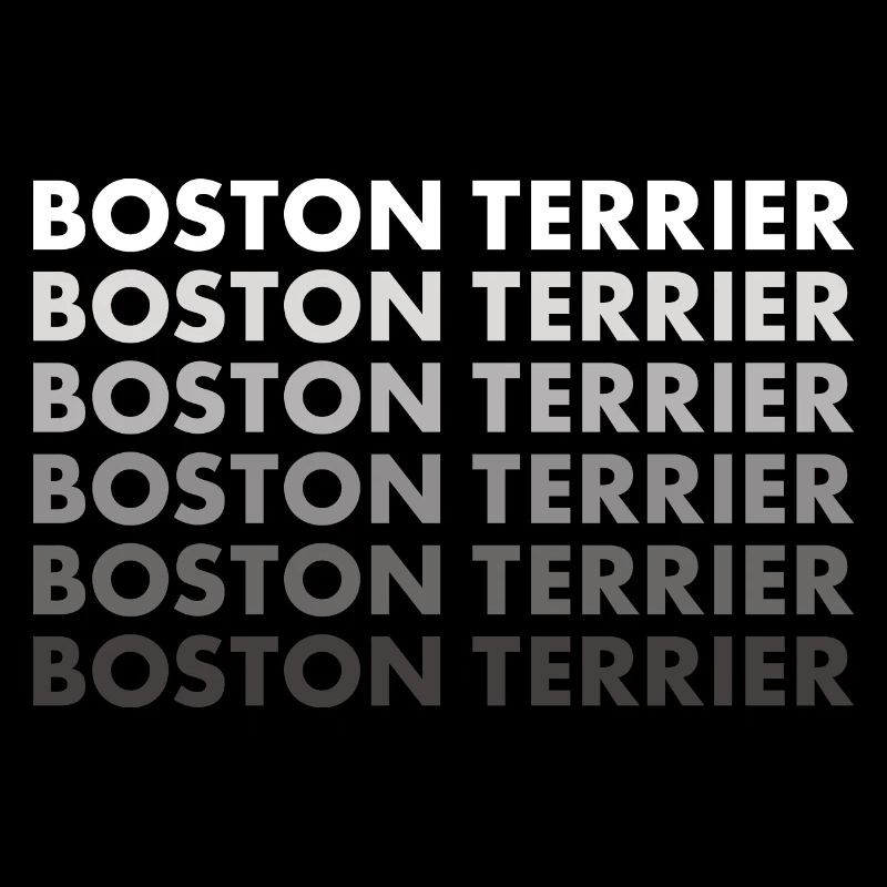 Boston Terrier
