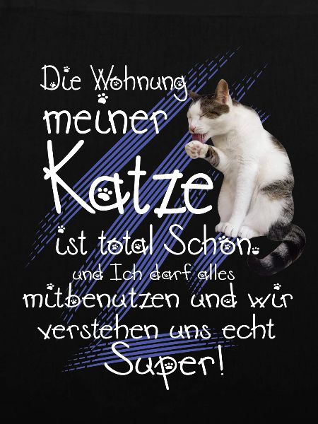 Katzen Wohnung