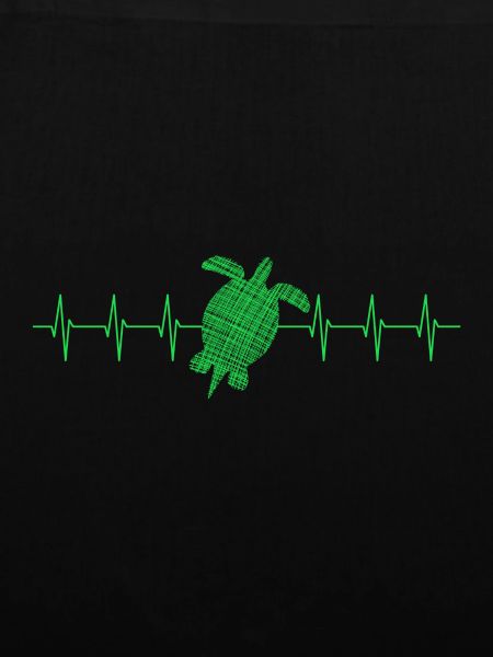 Turtle turtle heartbeat