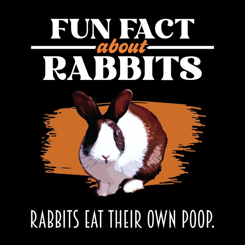 Fun Fact About Rabbits - Rabbit Lover