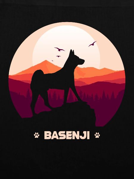 Basenji
