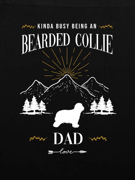 Bearded Collie