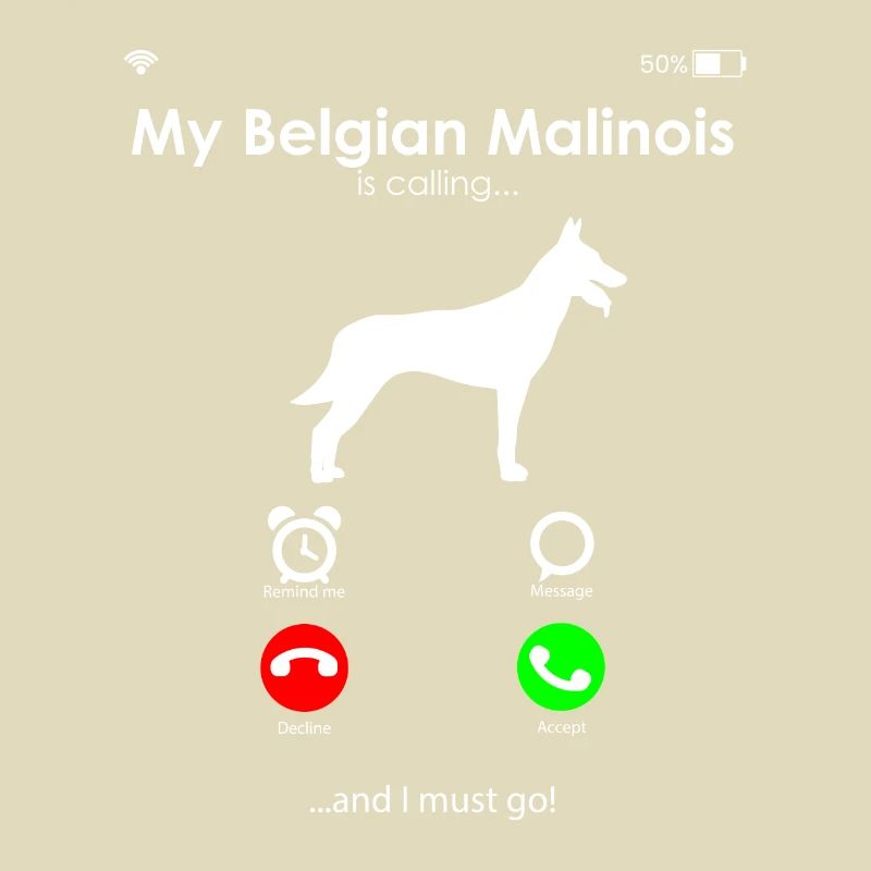Malinois Belgian Shepherd
