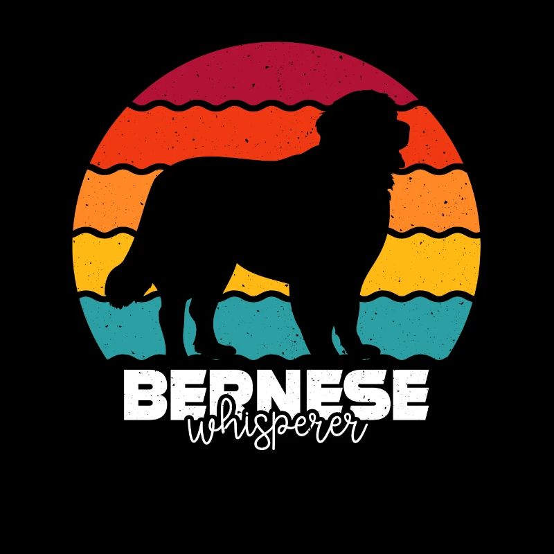Bouvier bernois