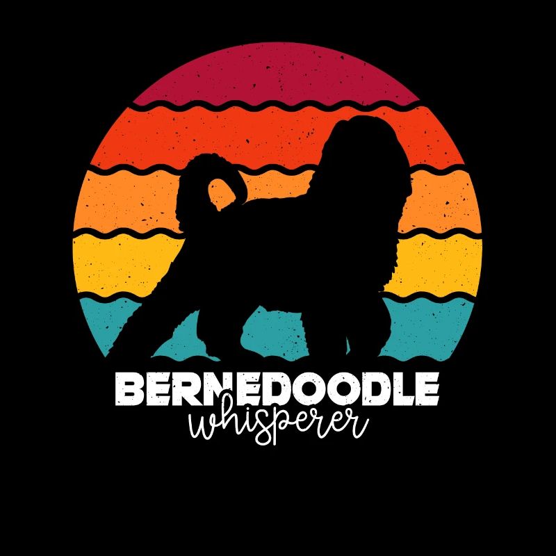 Bernedoodle Chiens