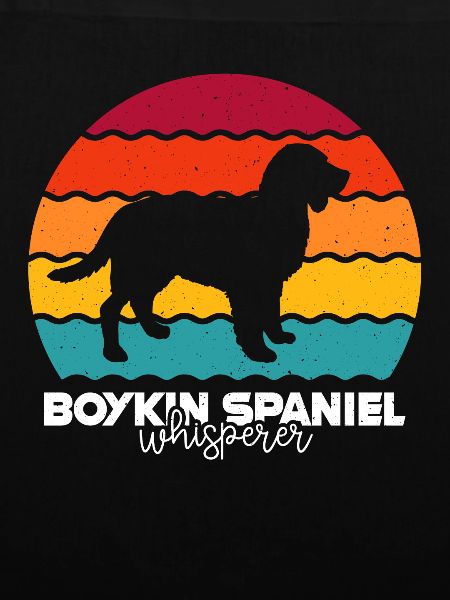Boykin Spaniel