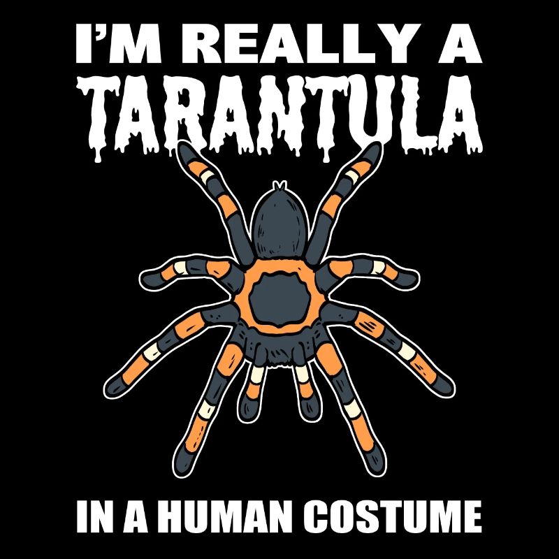 Spider lover arachnology