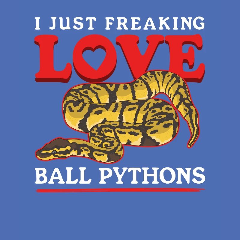 Königspython Schlangen Python Geschenke