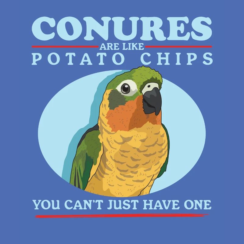 Conures simd comme des perroquets Conure cadeau