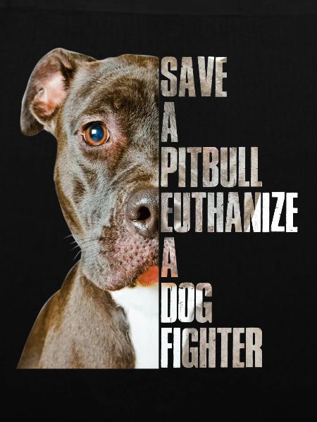 Salva un pitbull un combattente per cani