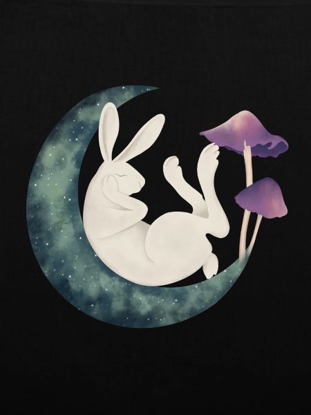 Rabbit on the moon