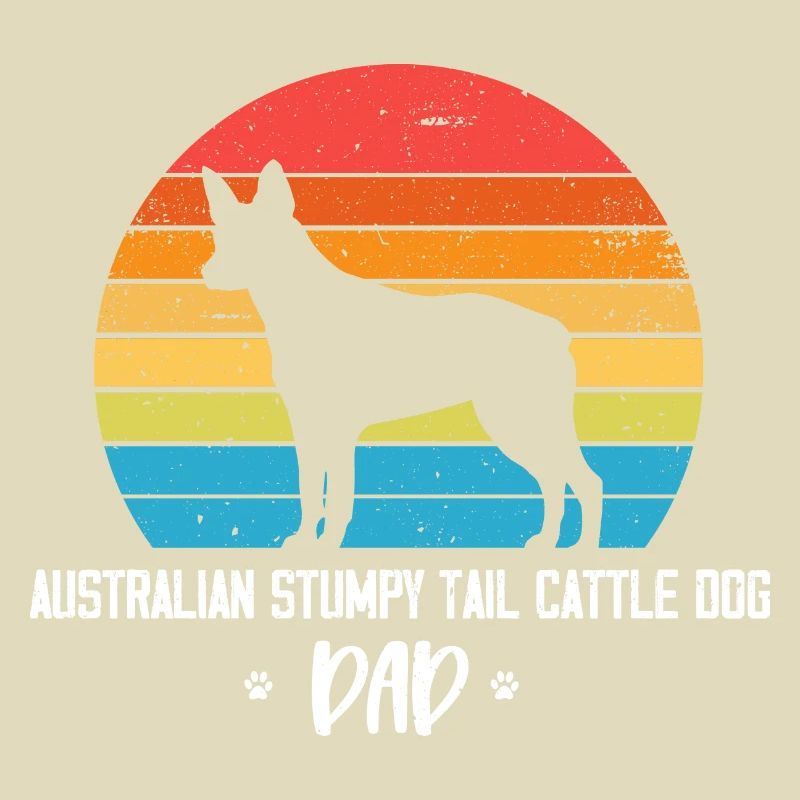 Australian Stumpy Tail Cattle Dog