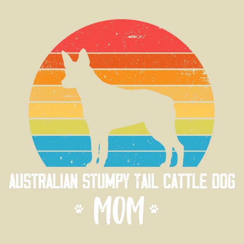 Australian Stumpy Tail Cattle Dog