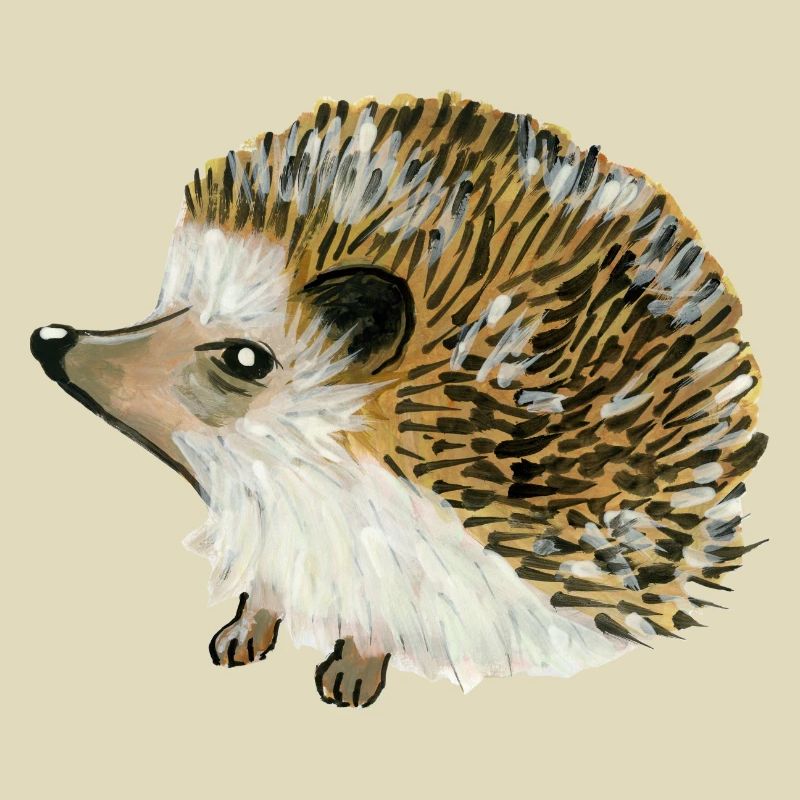 Igel Igel Igel Porco-Espinho Riccio Erizo