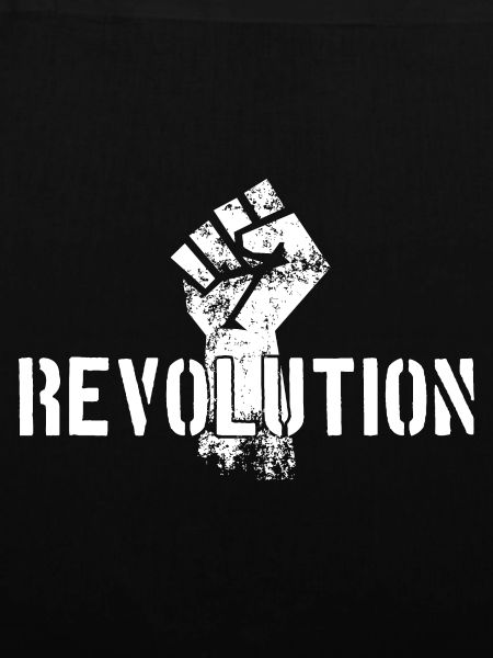REVOLUTION DEMONSTRATION WIDERSTAND