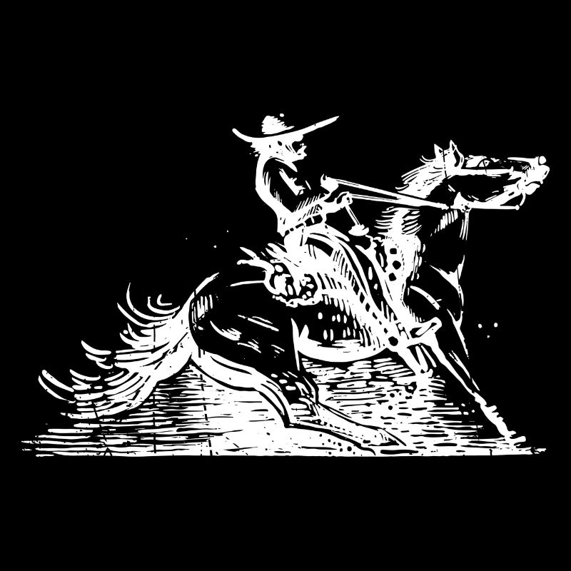 Rodeo a Caballo Equitación Occidental