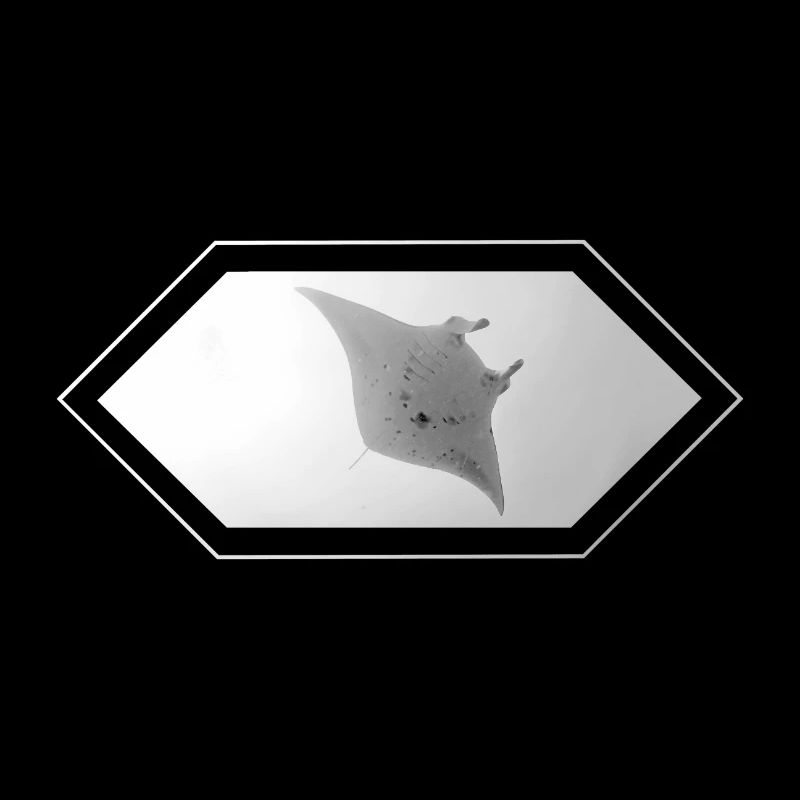 Manta