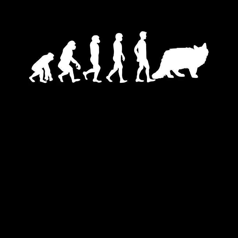 Siberian Cat Siberian Cat Evolution