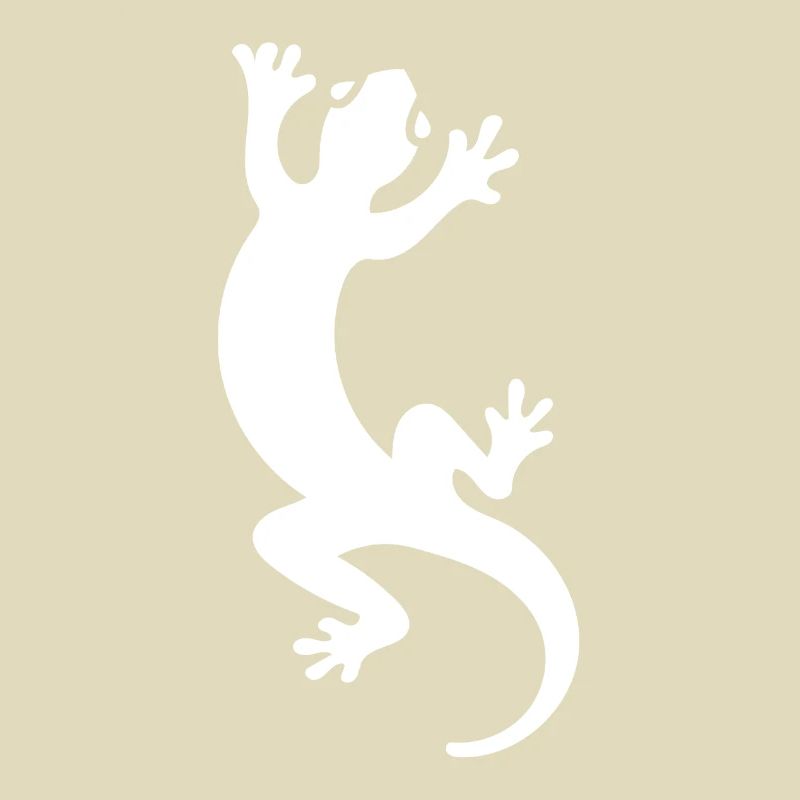 Salamander