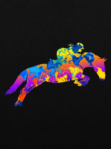 Springreiten Reiten Pferd Sprungreiten Geschenk
