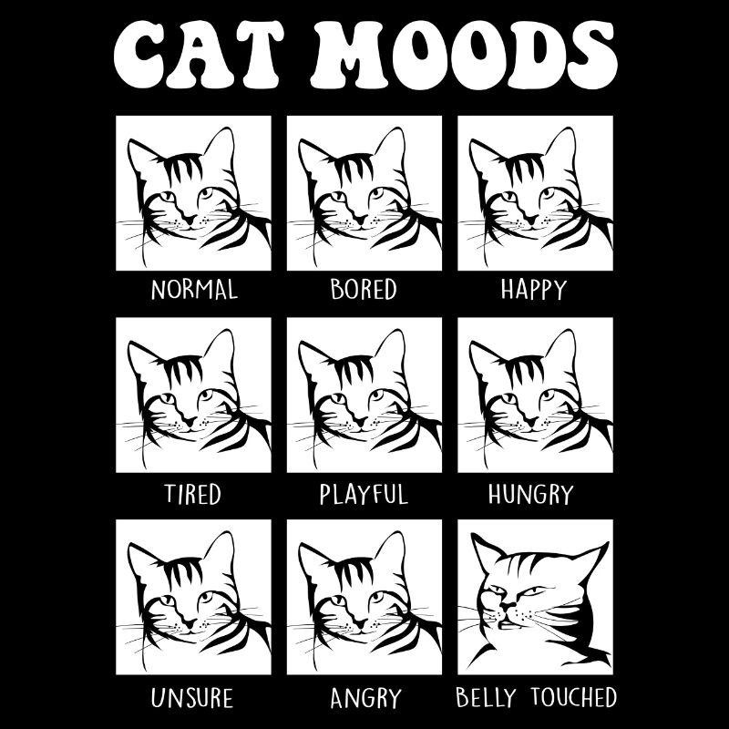 Drôle d’ambiance de chat design de chat pour