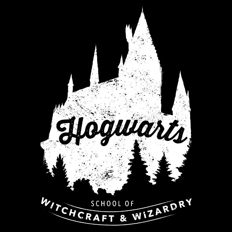 Harry Potter Hogwarts School