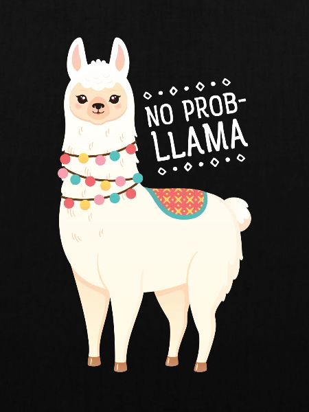 No Prob- Lllama