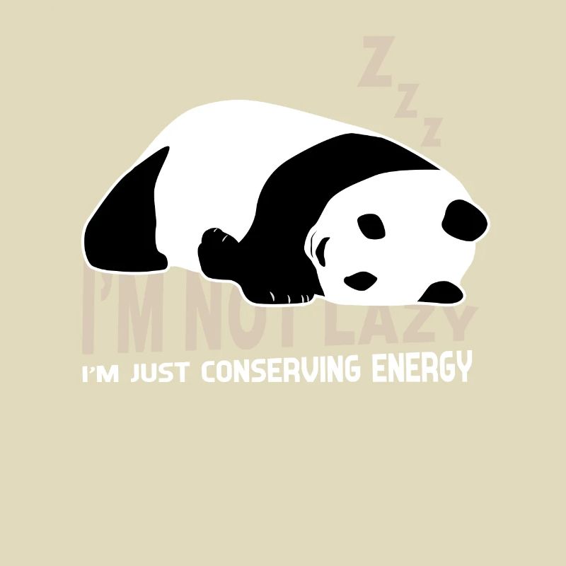 Sleeping Panda