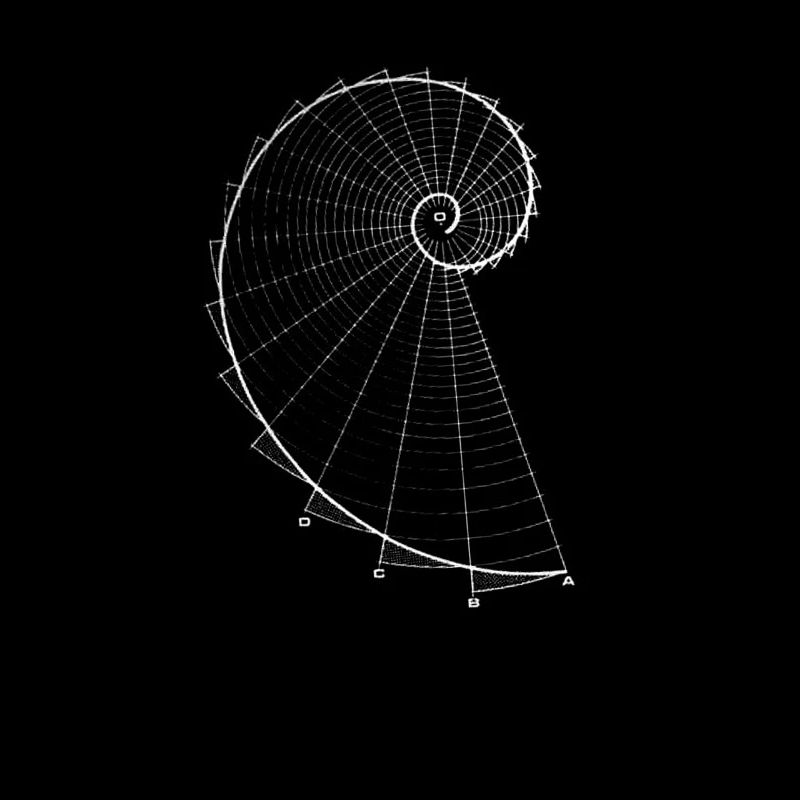 Fibonacci (Kreideoptik)