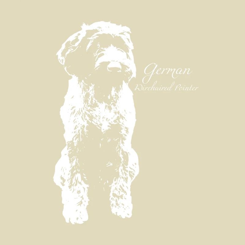 German Wirehaired Pointer