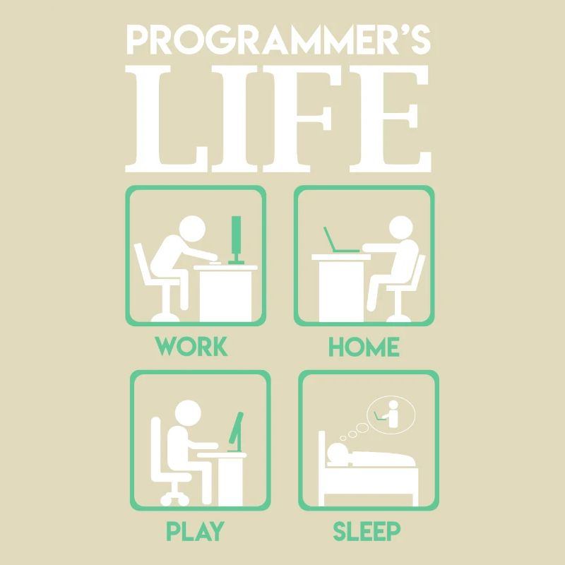 Programmer s life work home play sleep