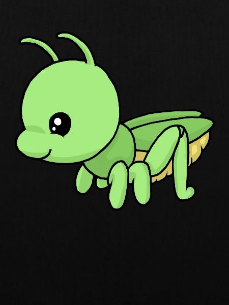 Small grasshopper