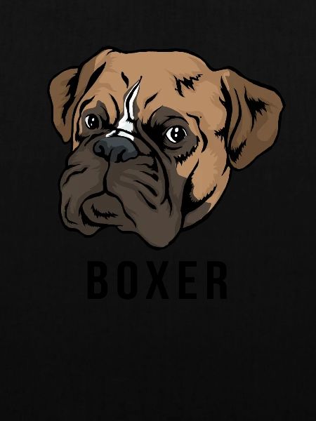 Boxer Hund Kopf