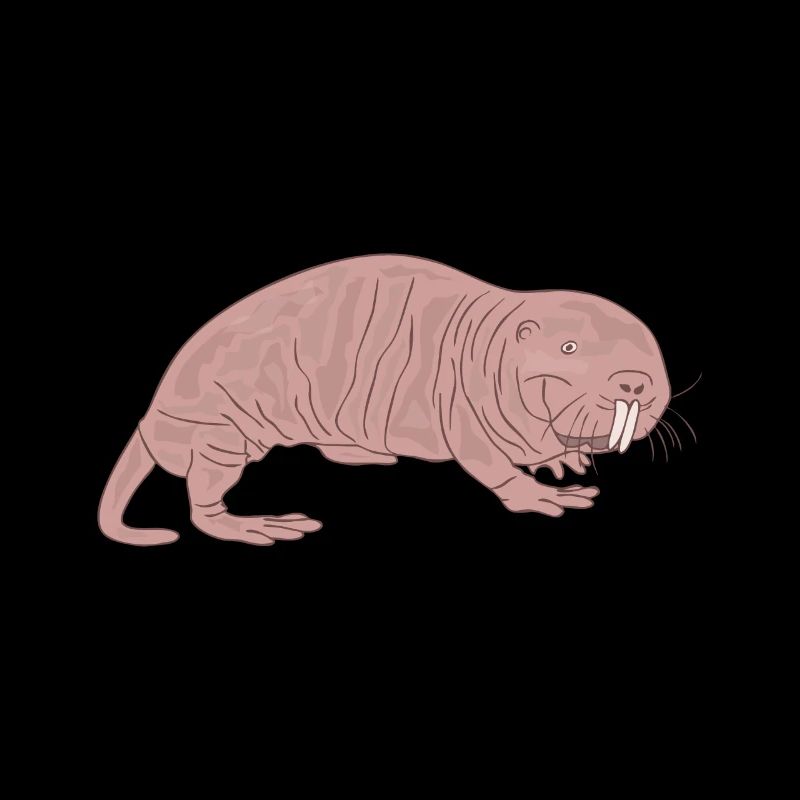 Naked Mole Rat