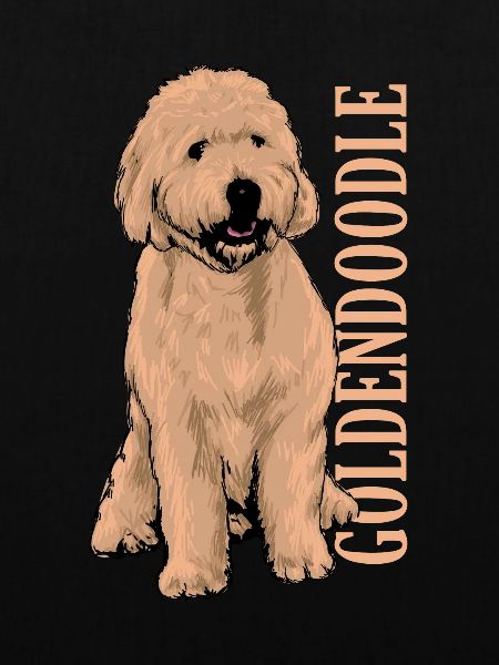 Goldendoodle