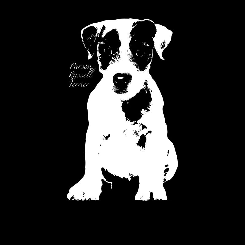 Parson Russell Terrier Jack Russell