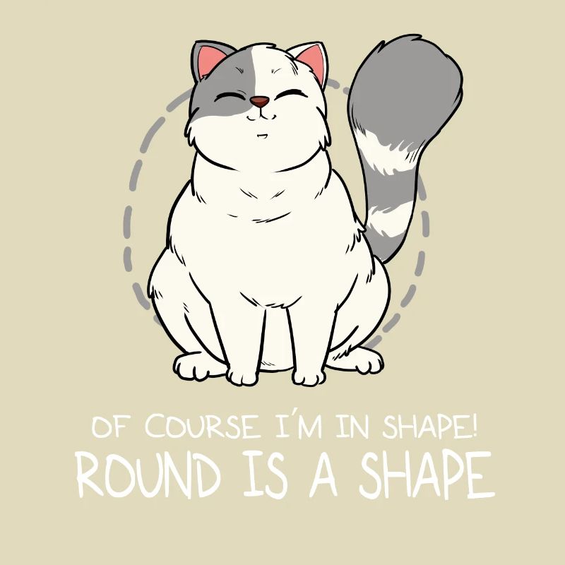 Chatte grasse forme moelleuse moelleuse