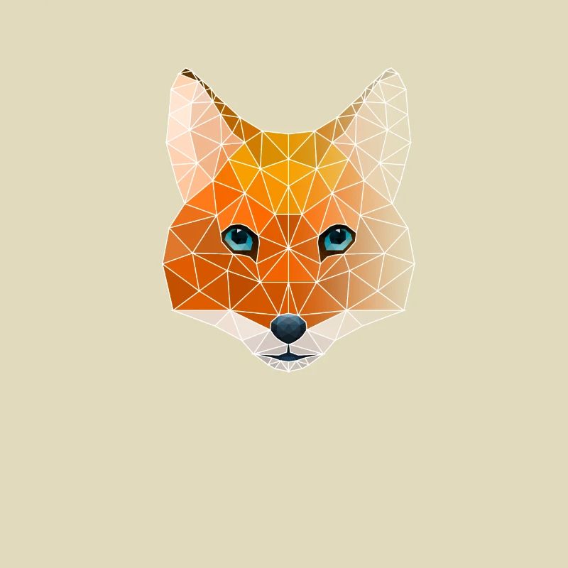 Polygon geometry fox