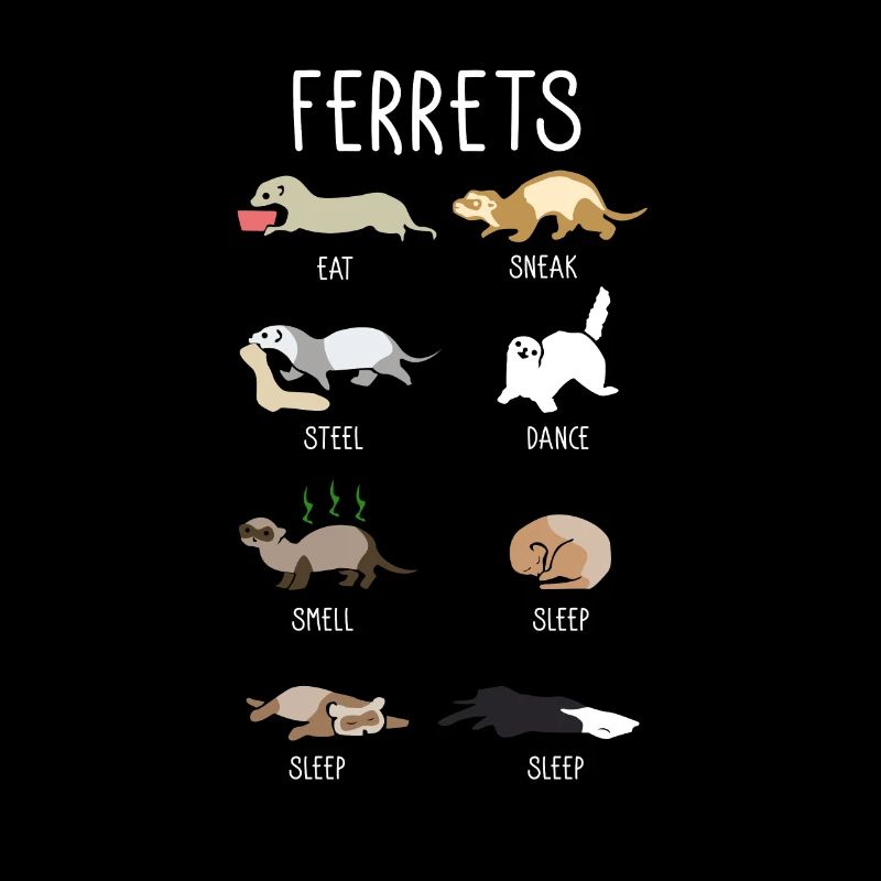 Furet