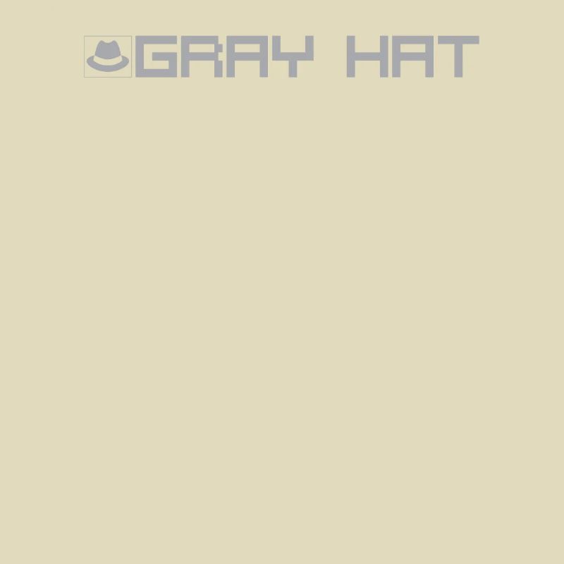 Gray hat hacker type