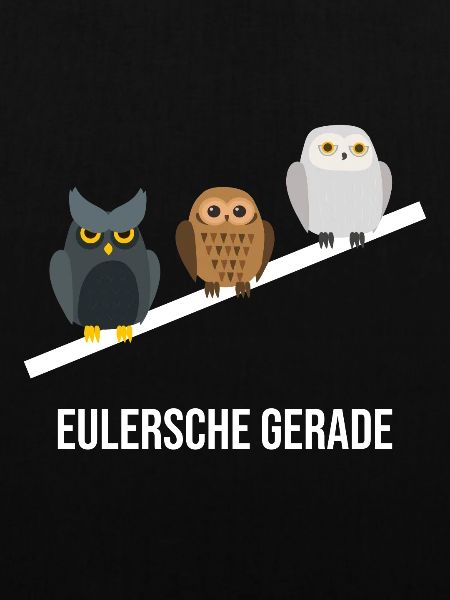 Eulersche Gerade