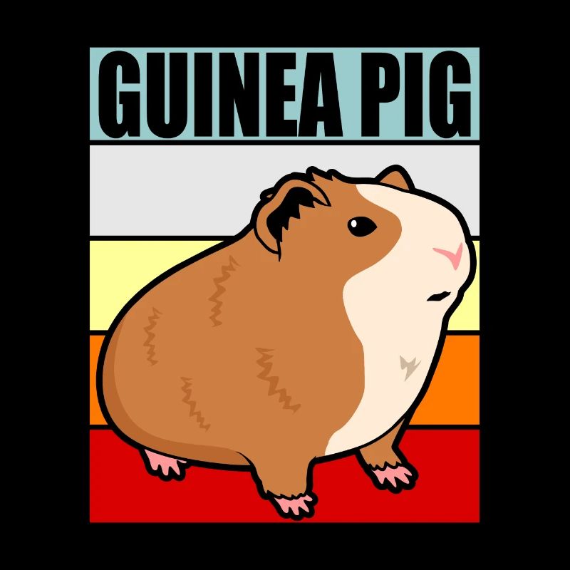 Cochon d'Inde