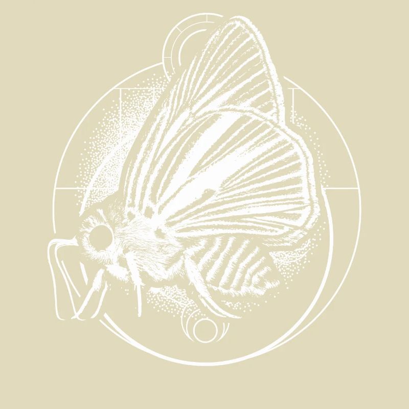 Goth Moth And Crescent Moon Creepy design Gift