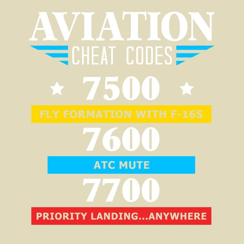 Aviation Cheat Codes Geschenk, Aviation Geschenk,
