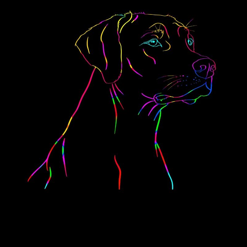Rhodesian Ridgeback colors