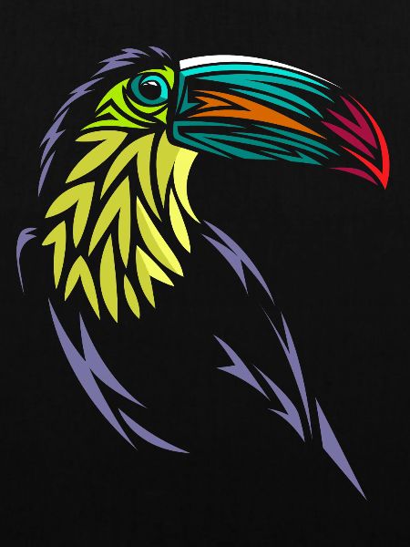 Stammes-Tucan