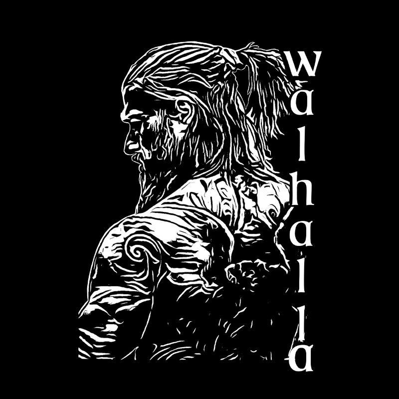 Vikings Nordiques Rune Vikings Walhalla Vikings